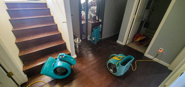  Effingham, IL Water damage restoration Pros